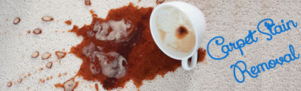 Carpet Stain Removal